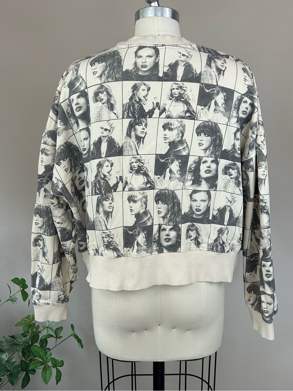Taylor Swift The Eras Tour Beige Cropped Sweatshirt Sz Small - Picture 3 of 9